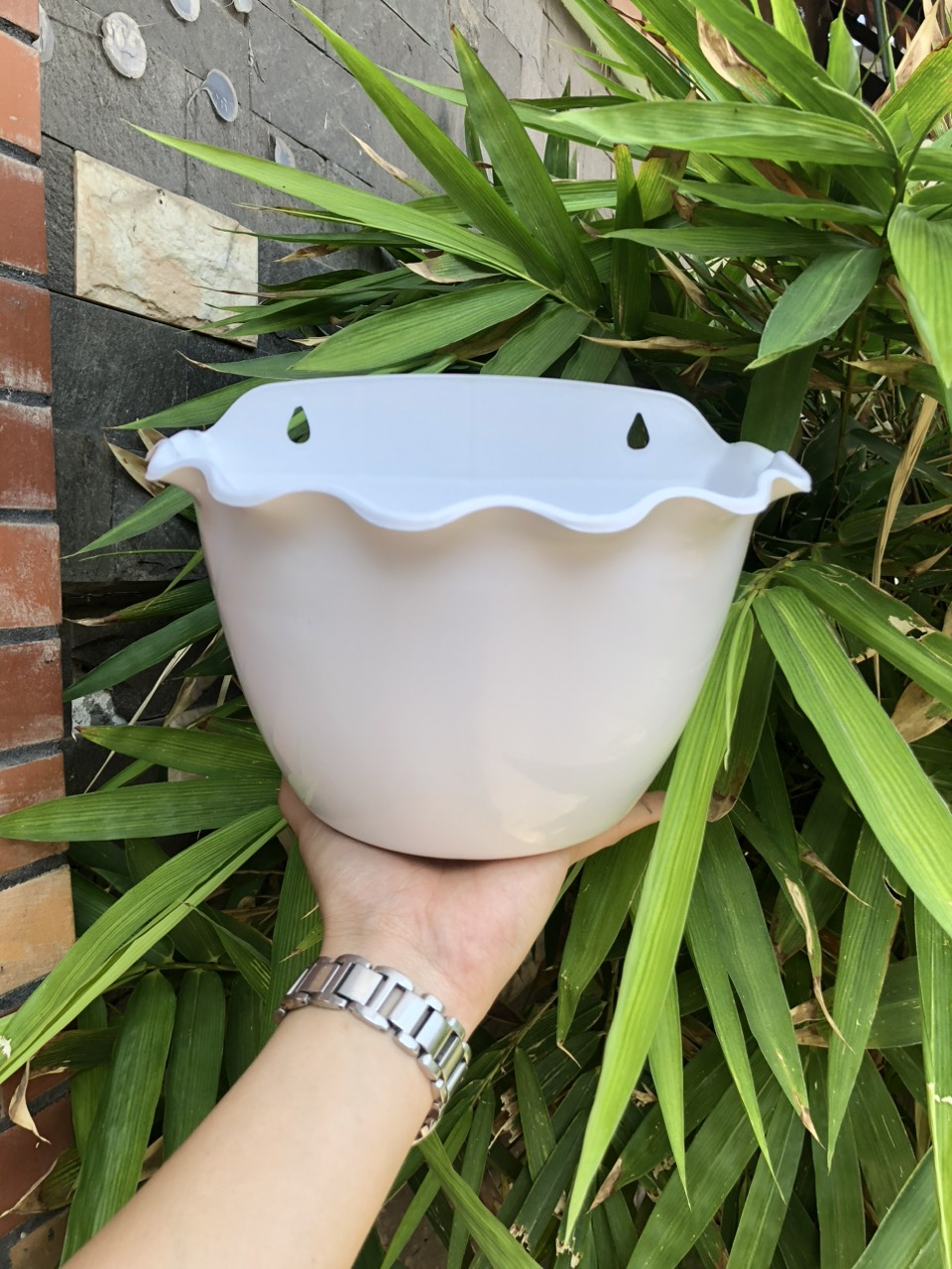 Chậu cây cũng đóng vai trò quan trọng tạo nên vẻ đẹp tổng thể