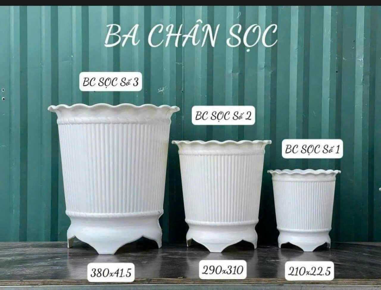 Chậu 3 chân trắng có sọc với nhiều kích thước