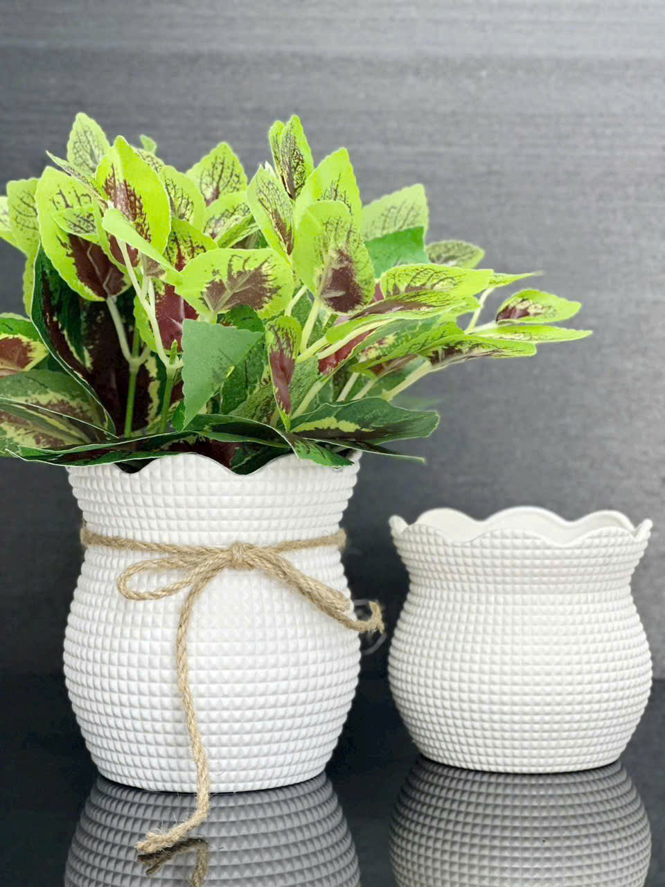 Chậu túi lộc 14cm