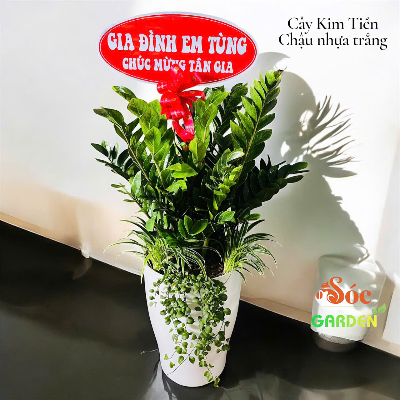 Màu trắng tinh khôi của chậu là một gam màu 