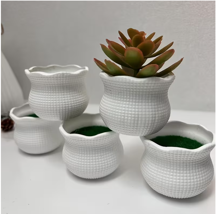 Chậu túi lộc trồng sen đá đẹp