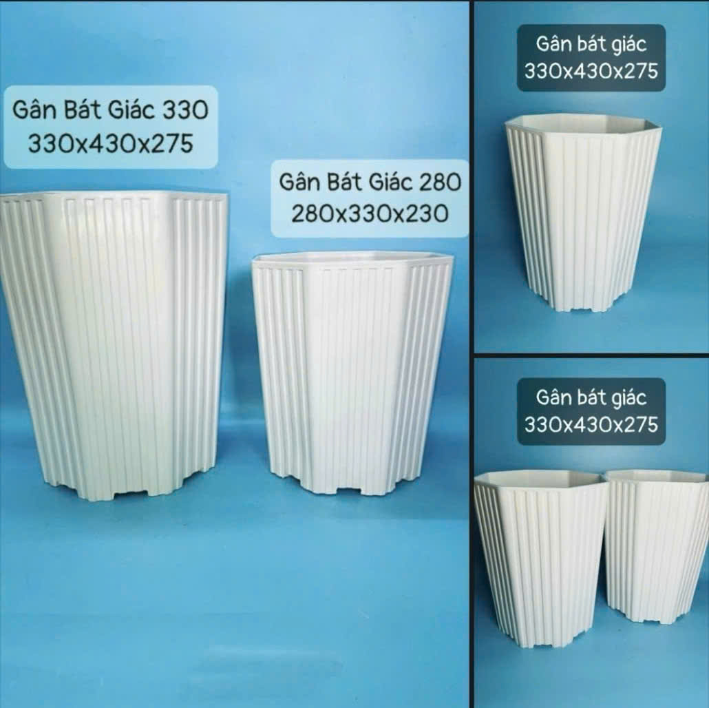 Chậu gân bát giác 33x43x27,5 cm 