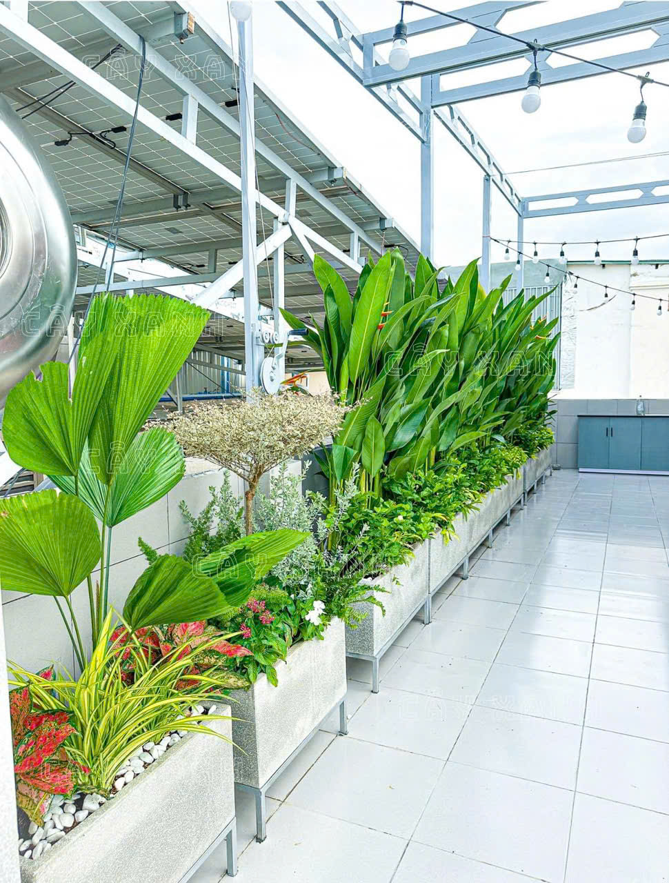 Chậu xi măng đá mài có chân đẹp, bền