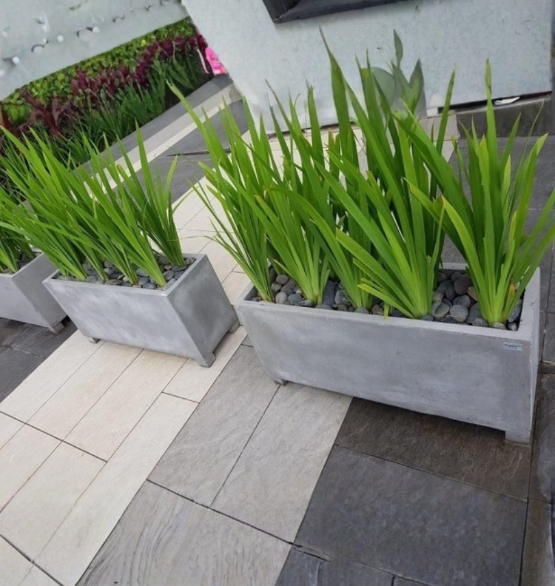 chậu xi măng đá mài chữ nhật có chân 