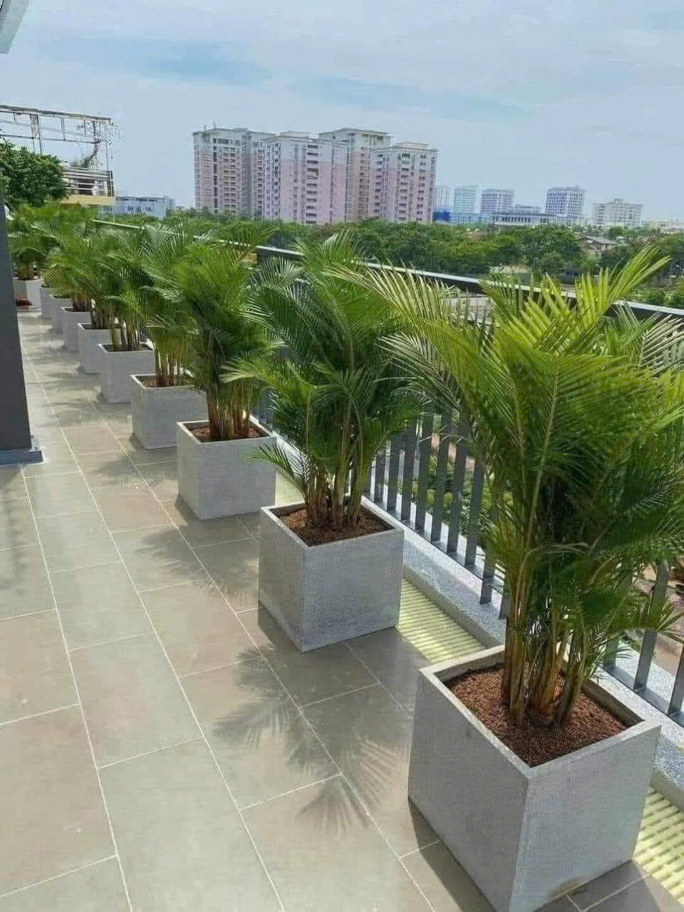 Chậu Xi Mang Đá Mài giá rẻ