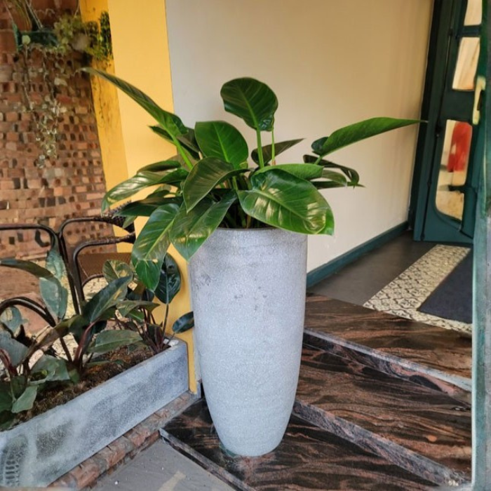 Chậu Xi Măng Đá Mài Đầu Đạn 37x54 cm