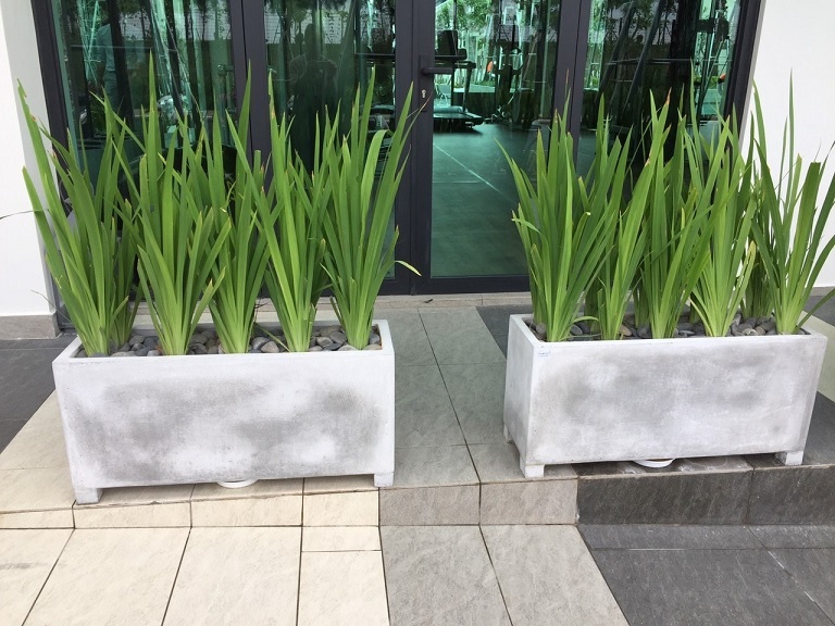 Chậu Xi Măng Đá Mài Chữ Nhật Có Chân 40x40x100 cm 