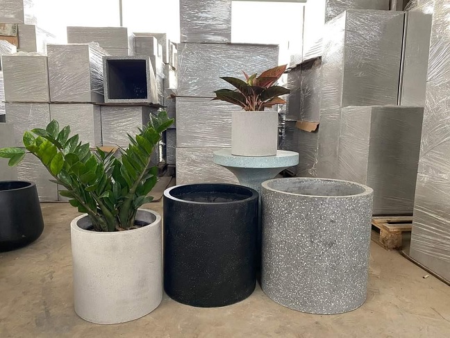 Chăm sóc cây xanh trọn gói