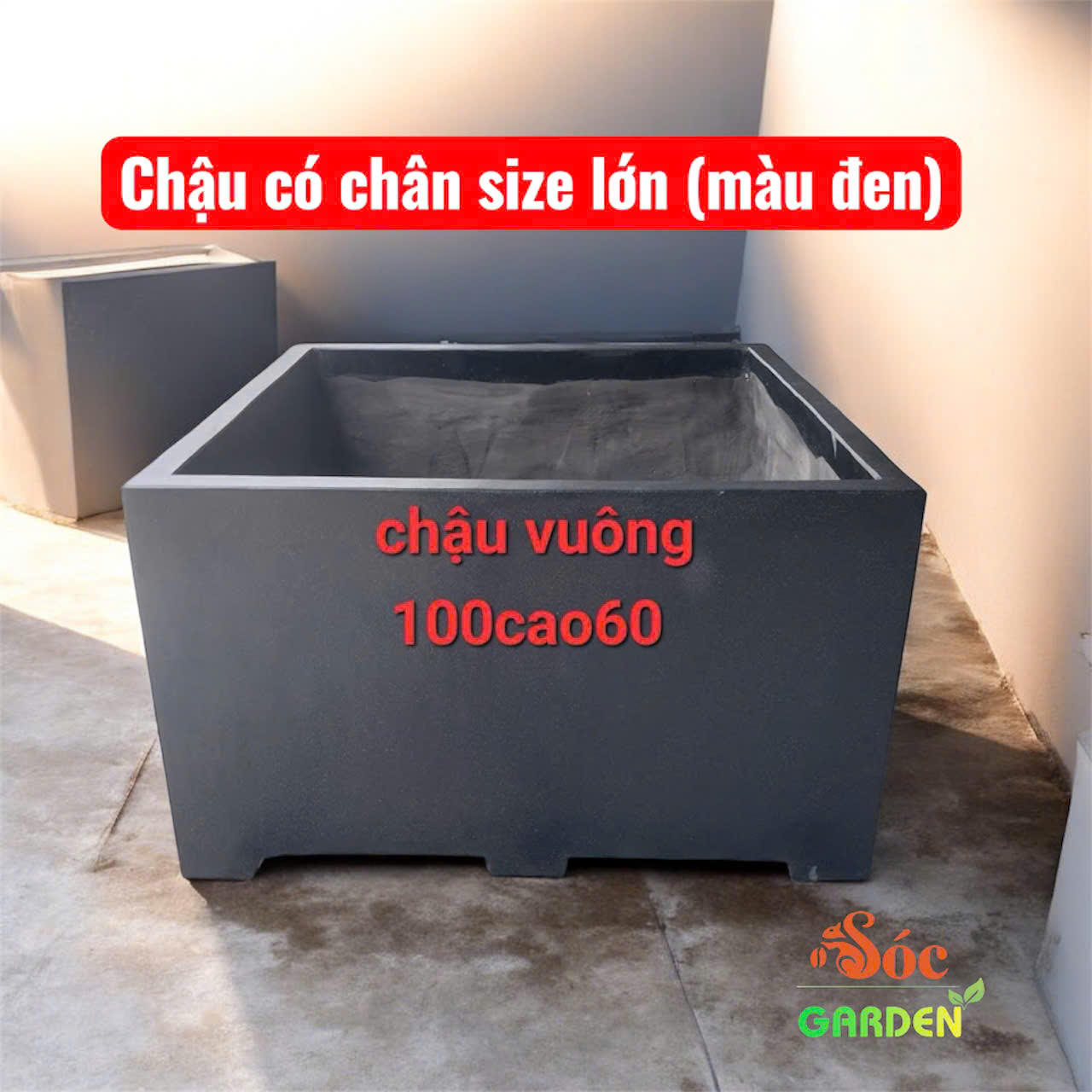 Chậu Xi Măng đá mài cỡ lớn trồng cây ăn trái
