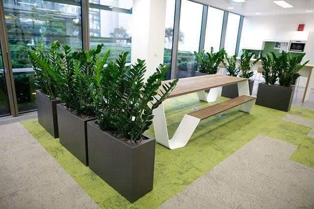 Chậu xi măng đá mài có chân