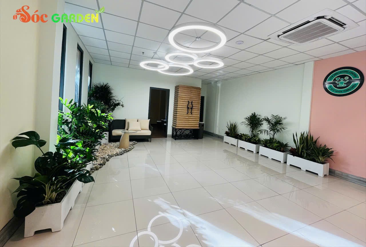 Cung cấp và decor mảng xanh cho văn phòng