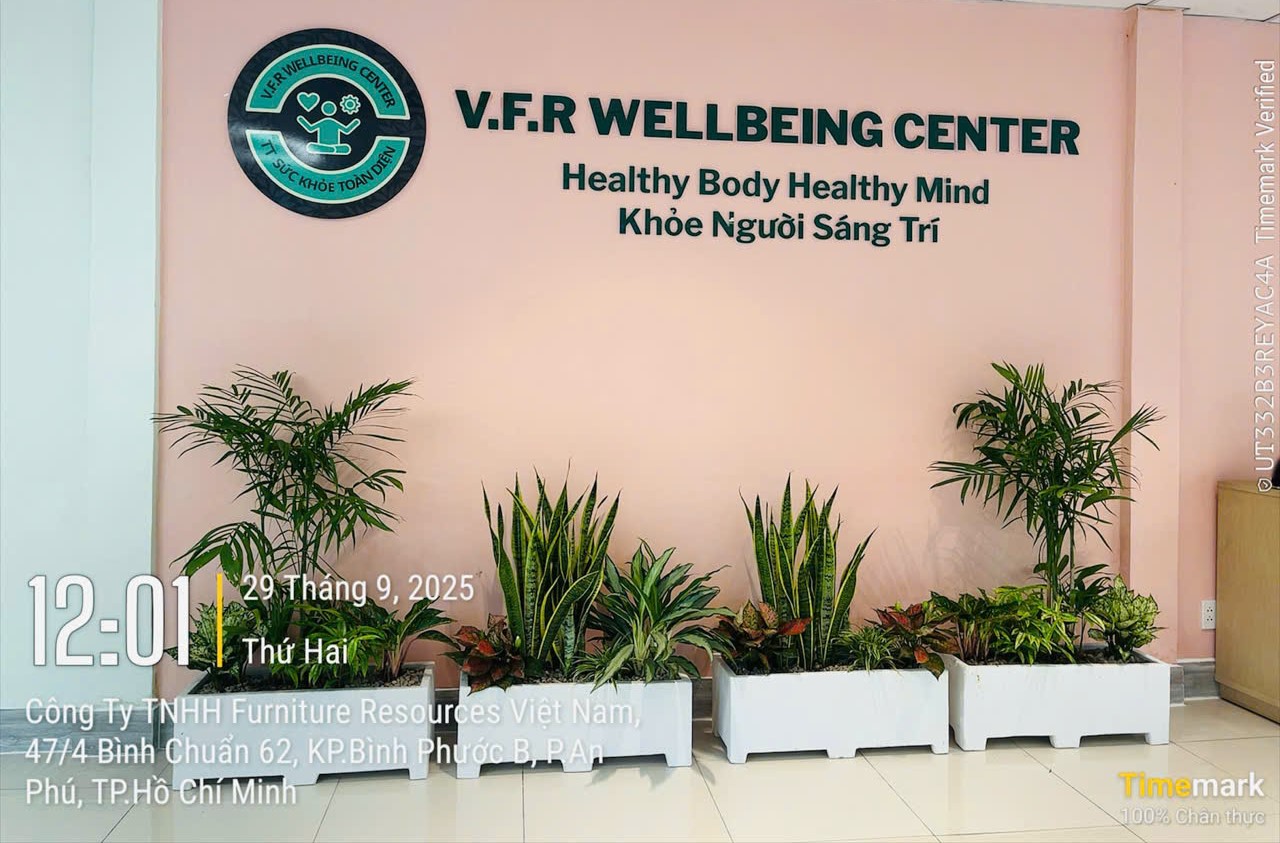 Chậu xi măng trồng lưỡi hổ mix