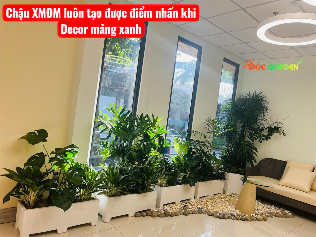 Chậu Xi Măng Đá mài làm cho không gian của bạn sang trọng hơn