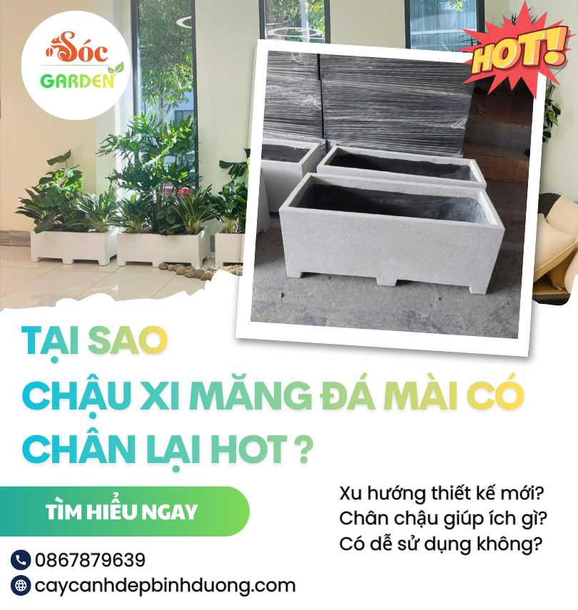 Tại sao chậu xi măng đá mài có chân lại hot