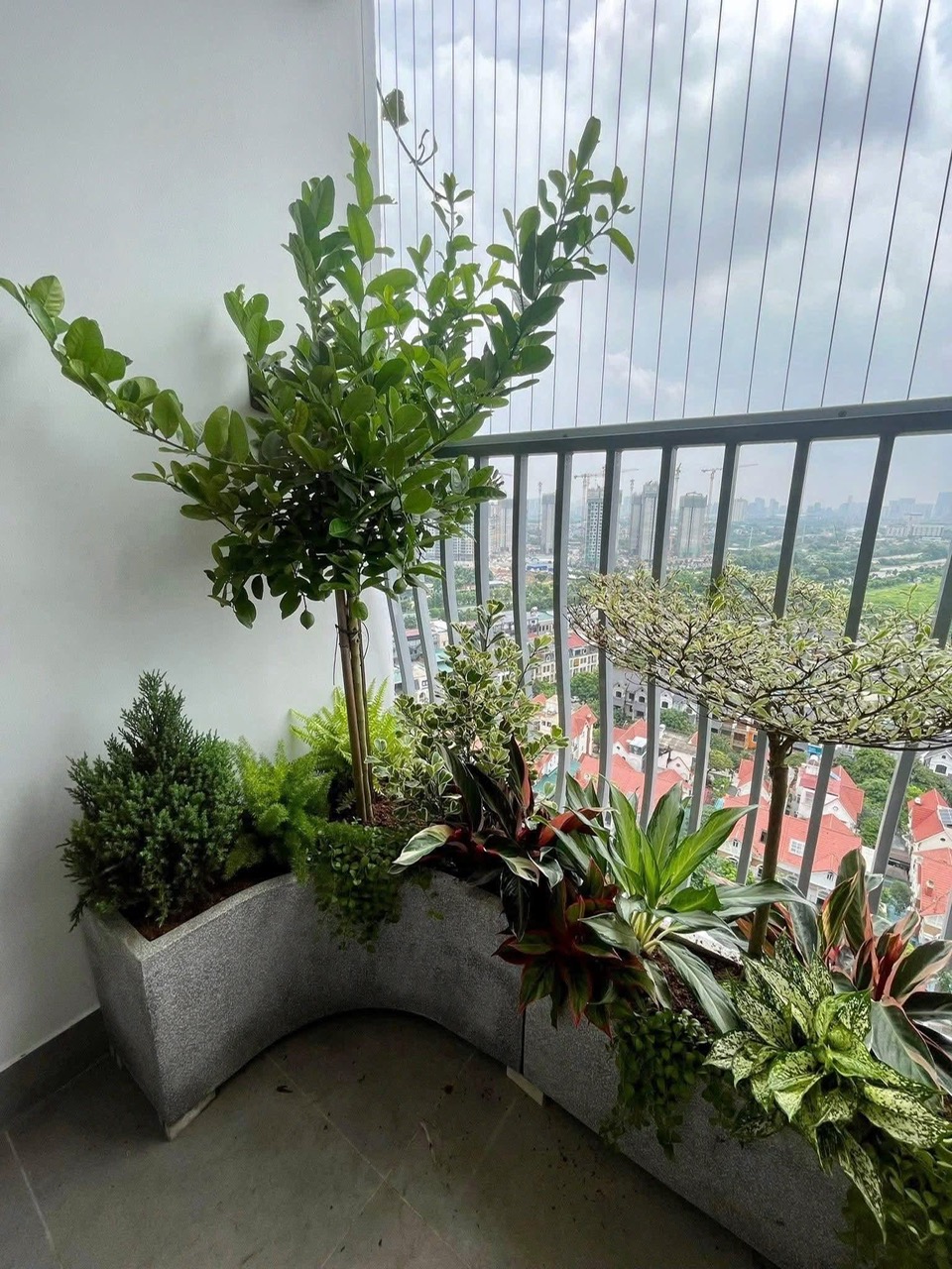 Chậu Xi Măng Đá Mài Chữ Nhật 60x30x30 Cm