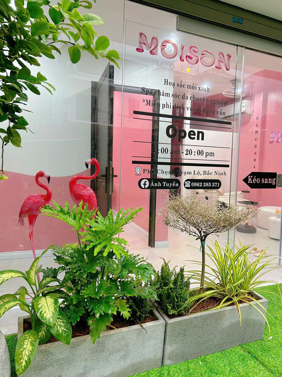 Sóc Garden cung cấp đa dạng các loại cây văn phòng