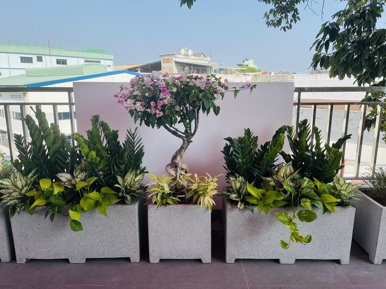 Chậu Xi Măng Đá Mài Vuông 40cmx40cm có chân