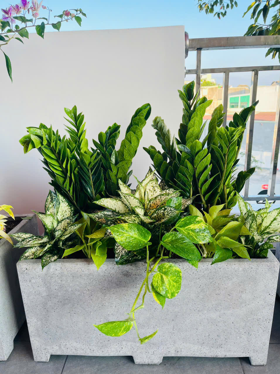 Chậu Xi Măng Đá Mài Chữ Nhật Có Chân 40x40x80 cm