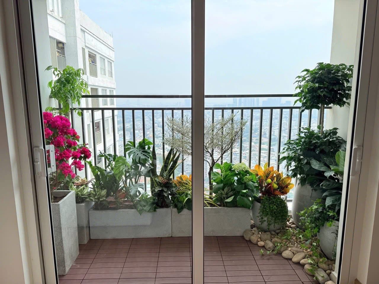 Chậu Xi Măng Đá Mài Chữ Nhật 60x30x30 Cm