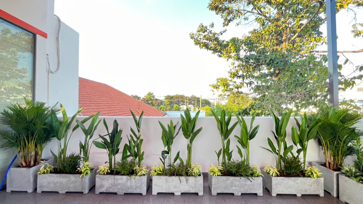 Mẫu chậu có thiết kế dài, hiện đại và phần chân nâng thanh thoát giúp tổng thể gọn gàng hơn