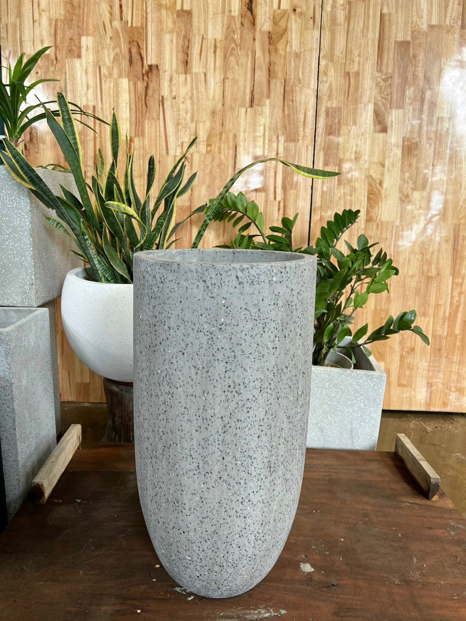 Chậu Xi Măng Đá Mài Đầu Đạn trồng cây gì