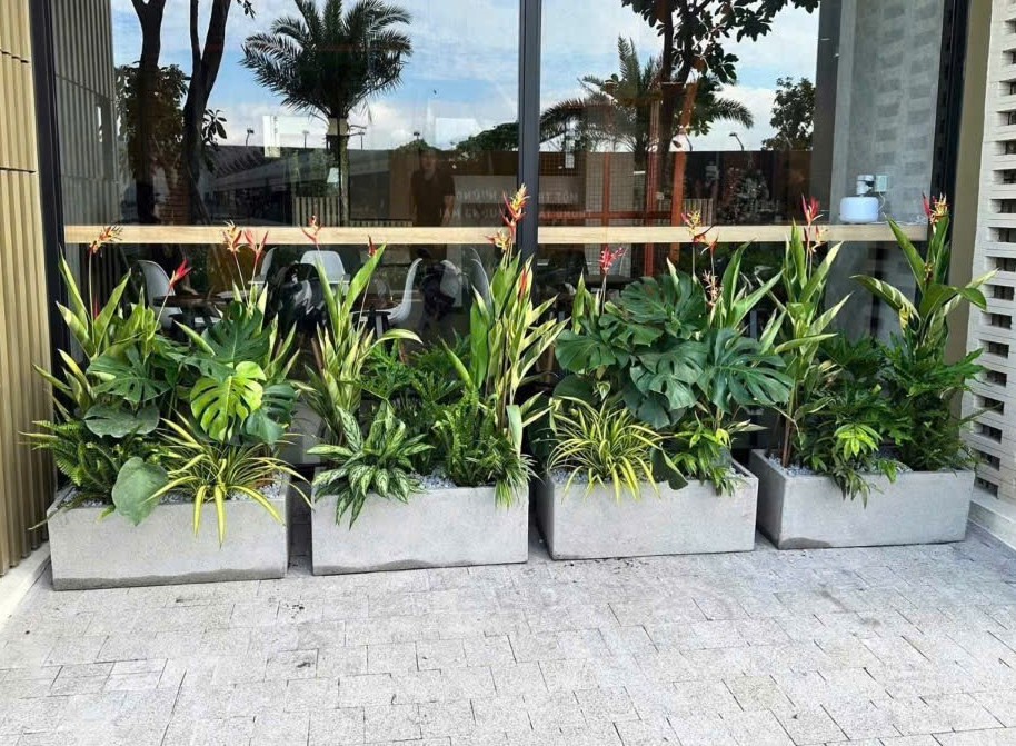 Dáng chậu hiện đại giúp không gian trở nên gọn gàng và sang trọng hơn.