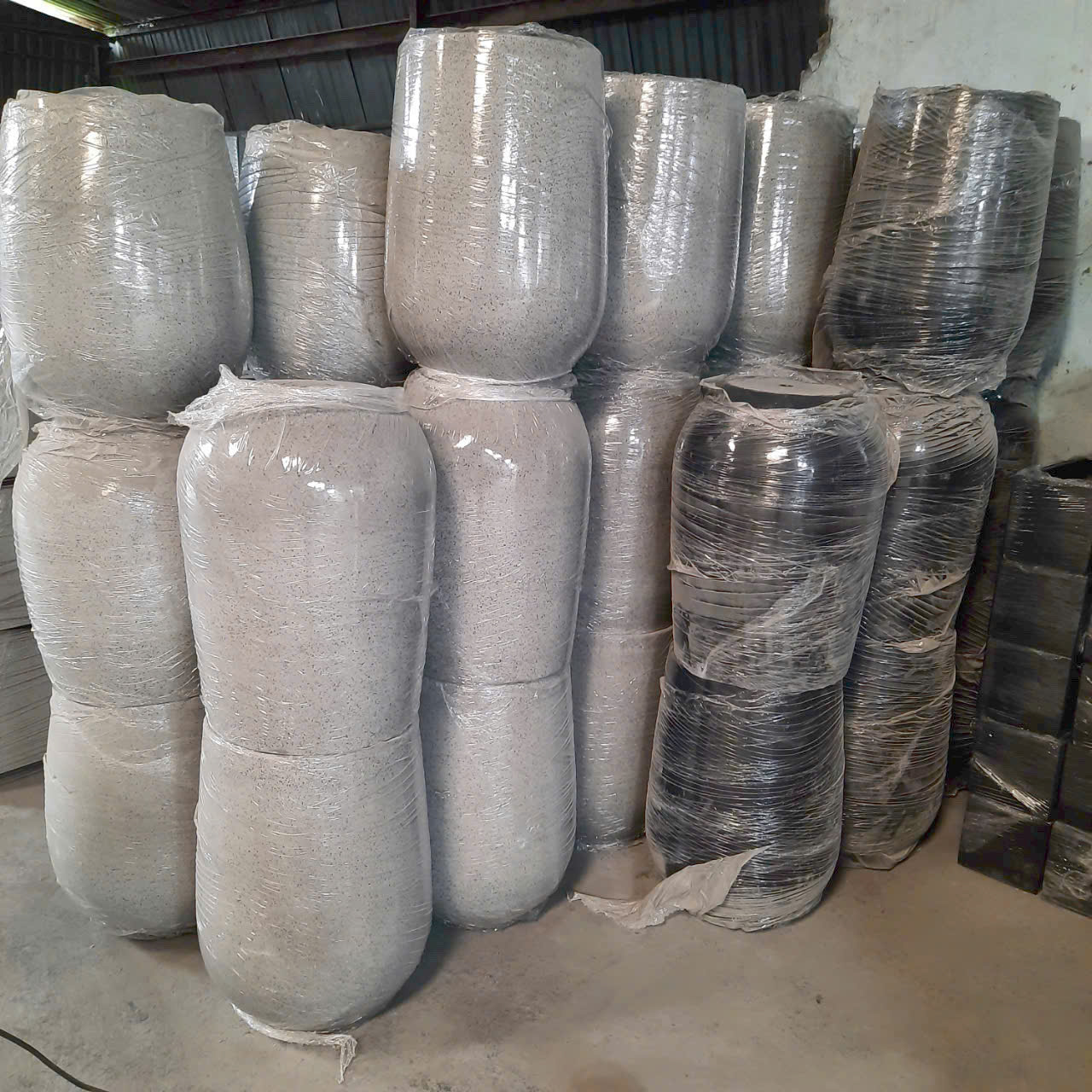 Những loại cây không cần nhiều ánh sáng