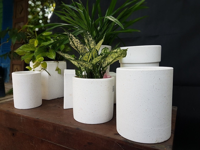 Các loại cây phong thủy để bàn thường rất hợp với chậu mini