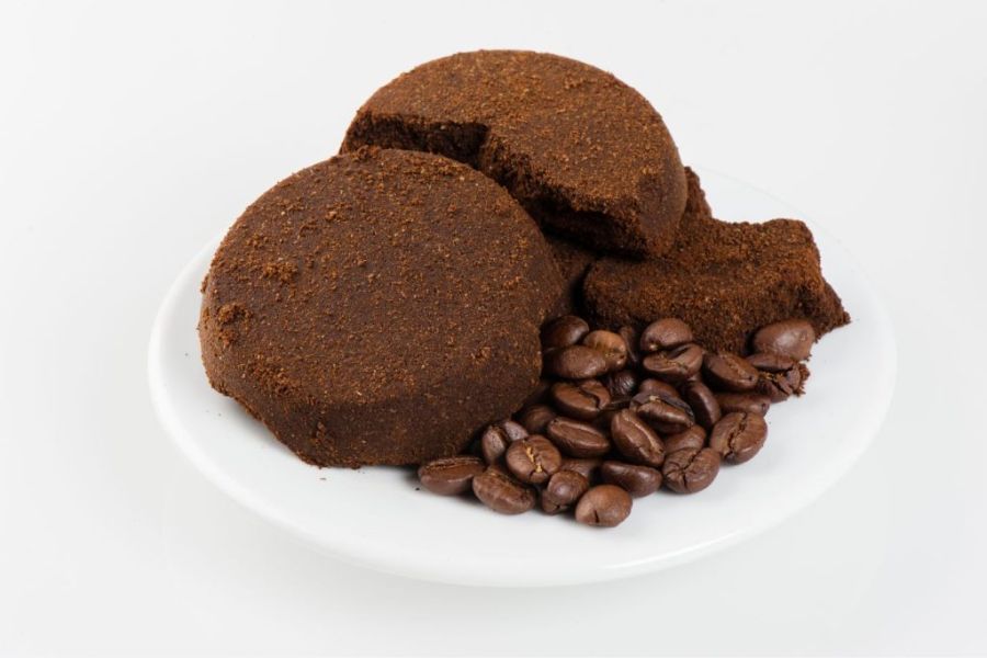 Tái chế bã cafe làm phân bón hữu cơ tại nhà