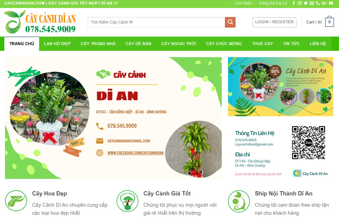 cây cảnh xanh mát