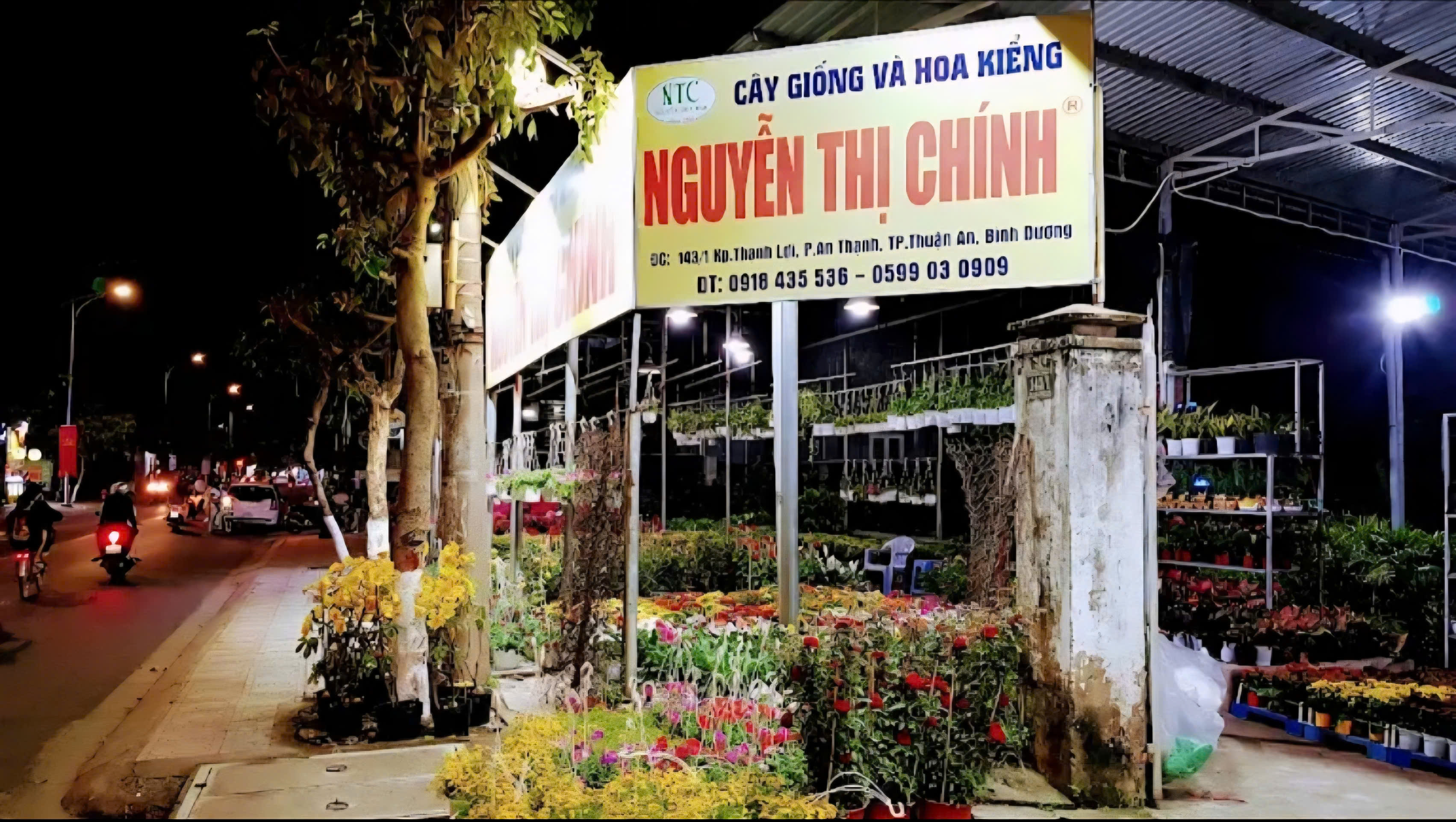 Cây Giống & Hoa Kiểng Nguyễn Thị Chính