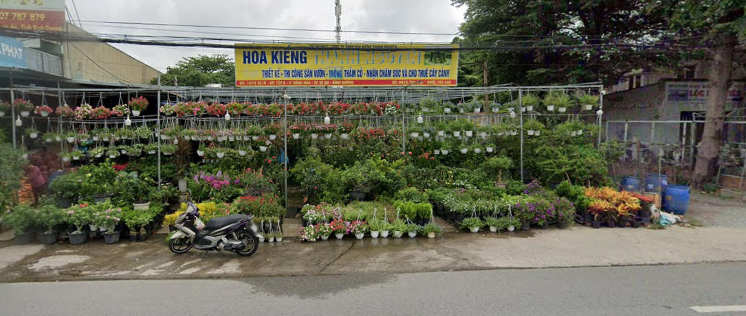 5 Shop Cây Cảnh Uy Tín tại Dĩ An
