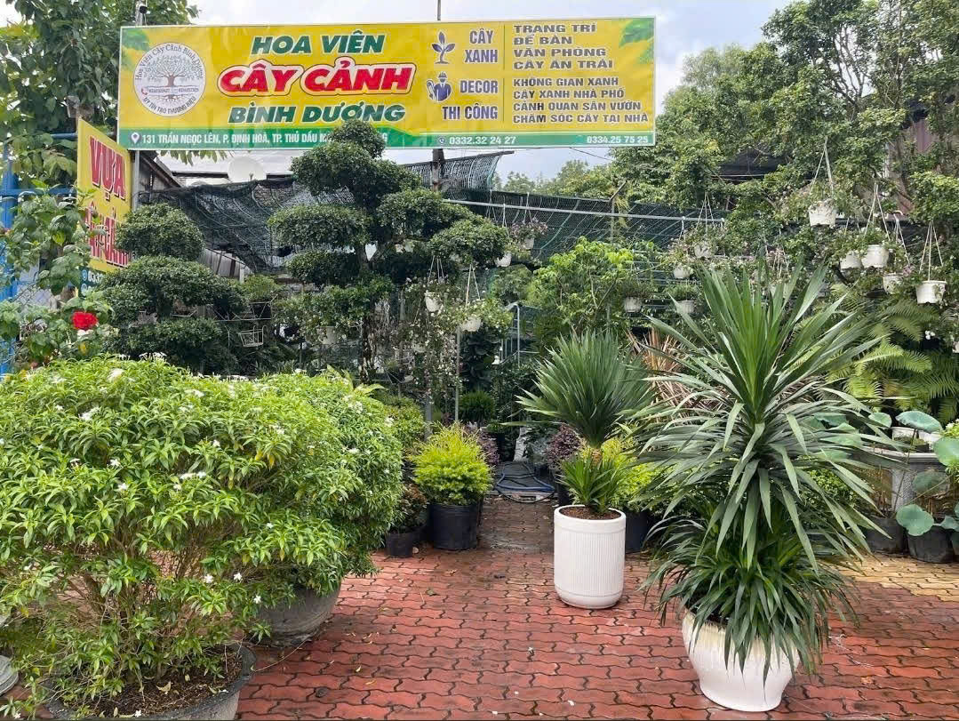 Hoa Viên Cây Cảnh Bình Dương 