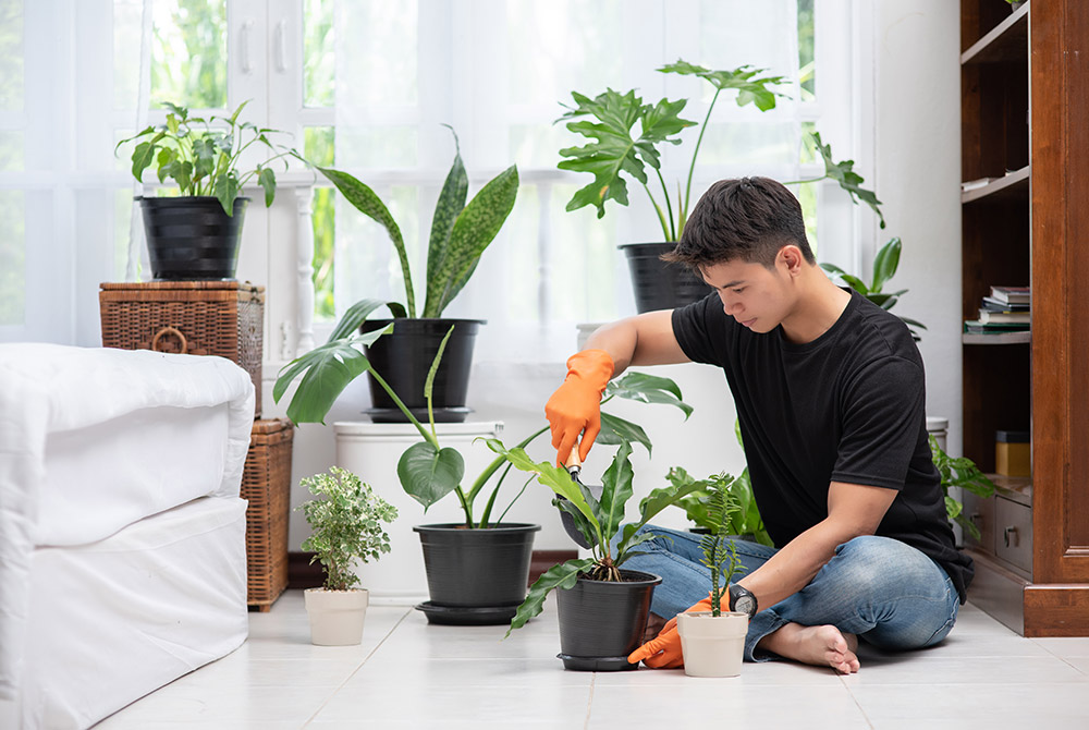 Mỗi loại cây trồng sẽ có những nhu cầu dinh dưỡng khác nhau