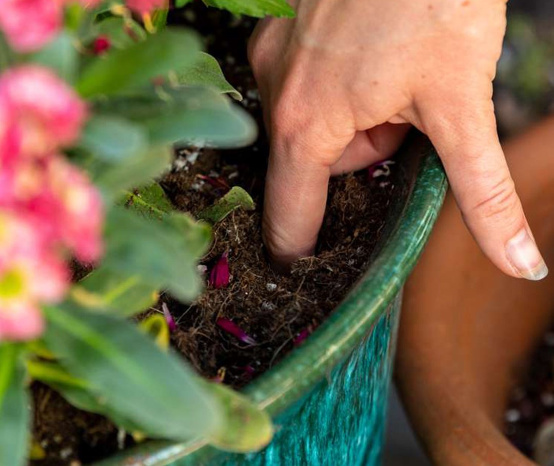Mất cân bằng nguồn nước - Thừa hay thiếu đều là gánh nặng