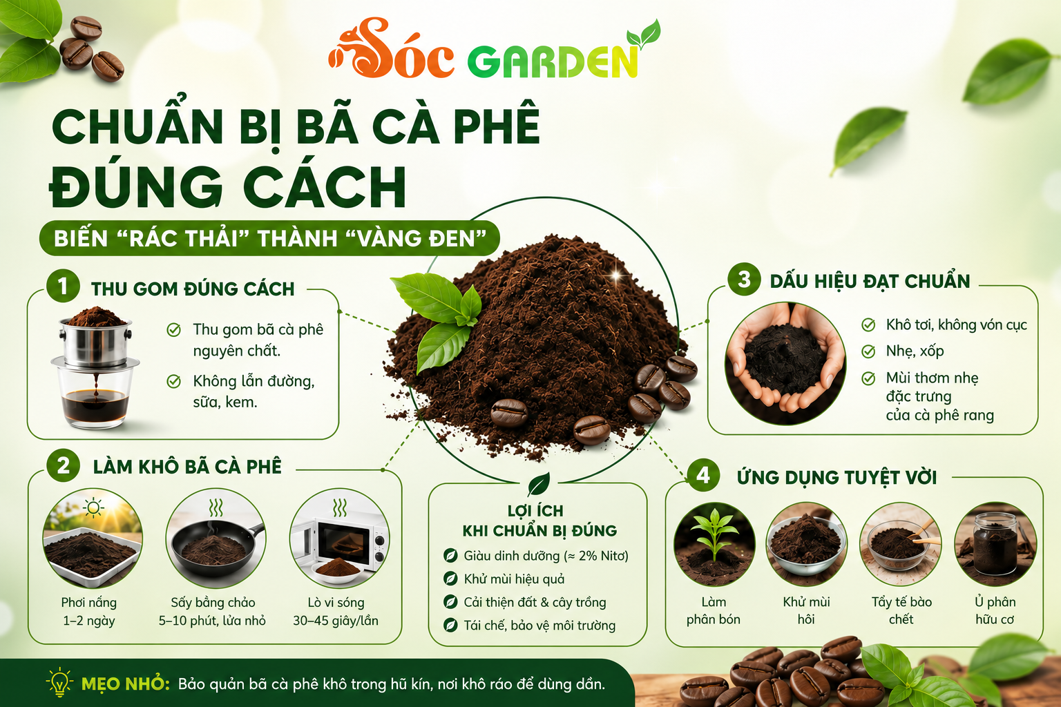 Tái chế bã cafe làm phân bón hữu cơ tại nhà
