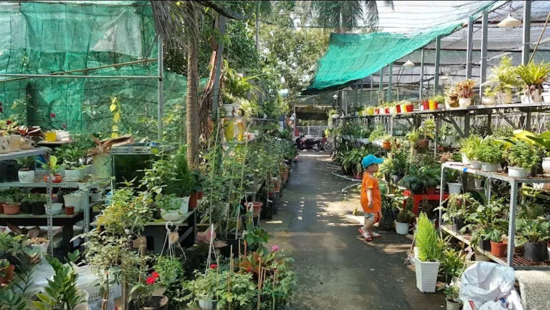 Vườn Hoa Kiểng Văn Tòng – Nơi Gửi Gắm Niềm Tin