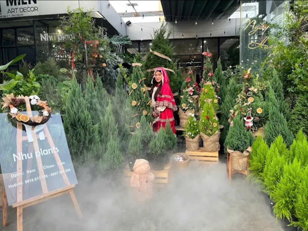 Cây Cảnh NHU PLANTS