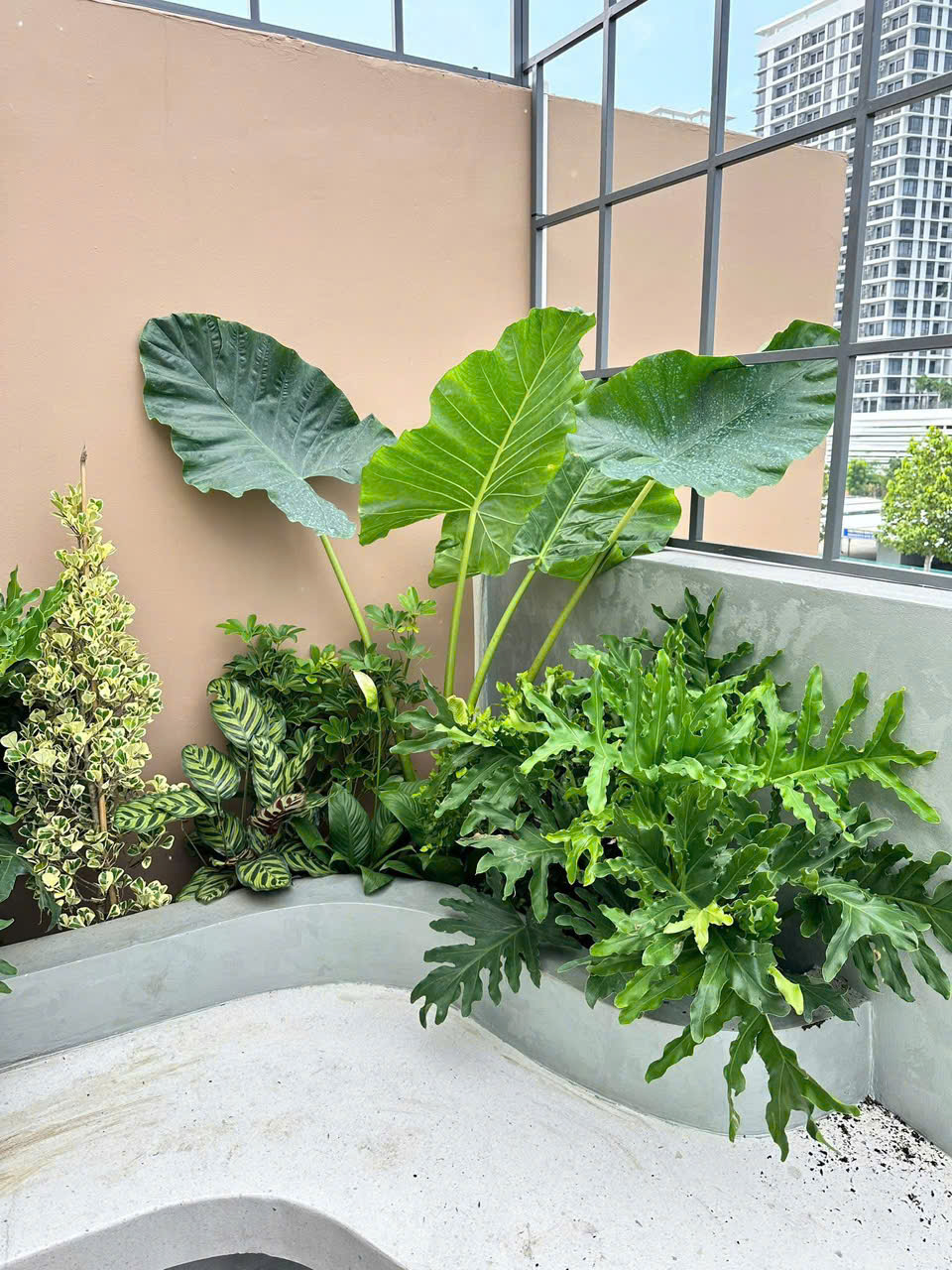 Thi Công Cảnh Quan Công Ty Trọn Gói Tại Tp.hcm