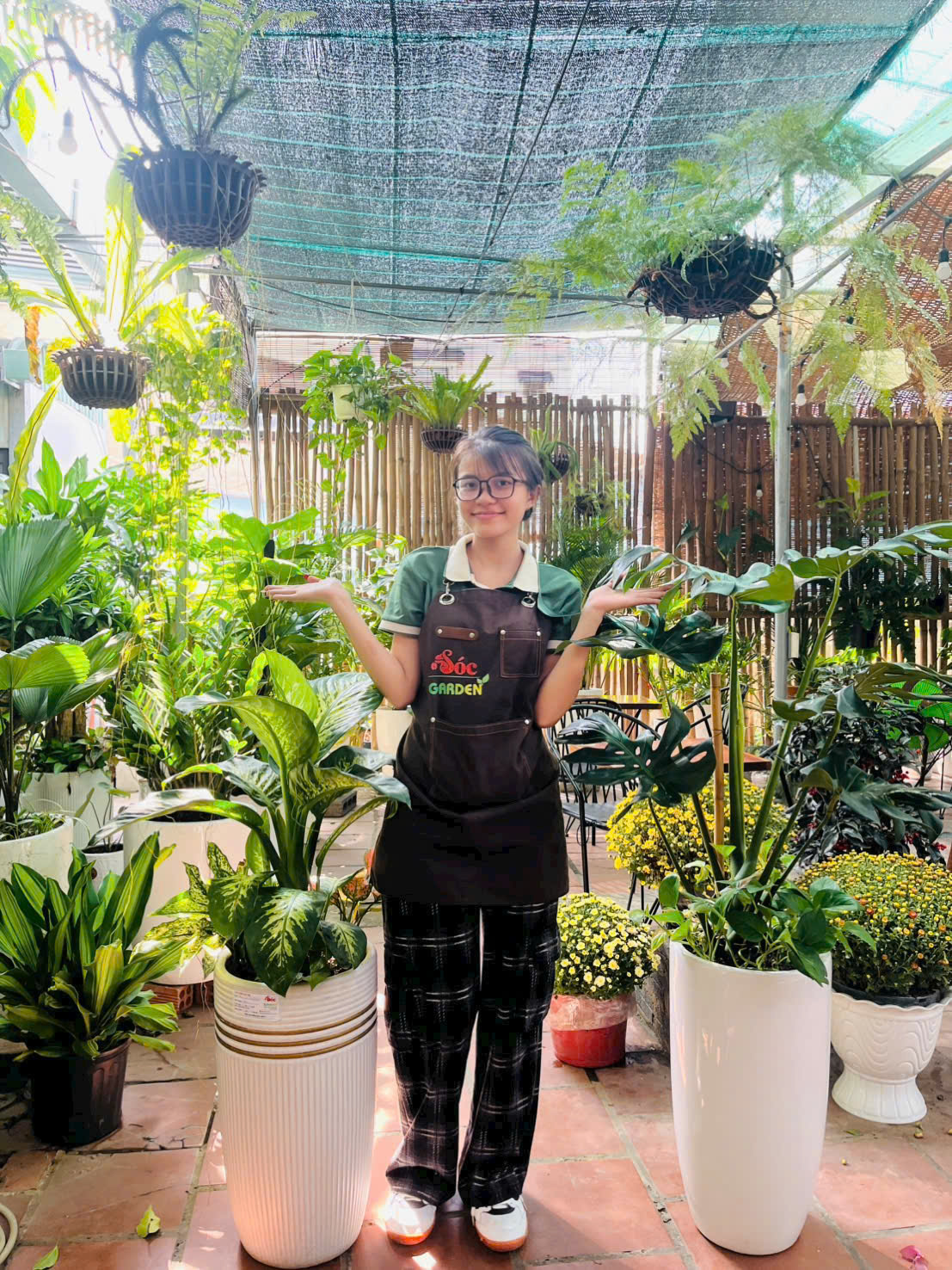 Cây quà tặng đẹp – bền – dễ sống