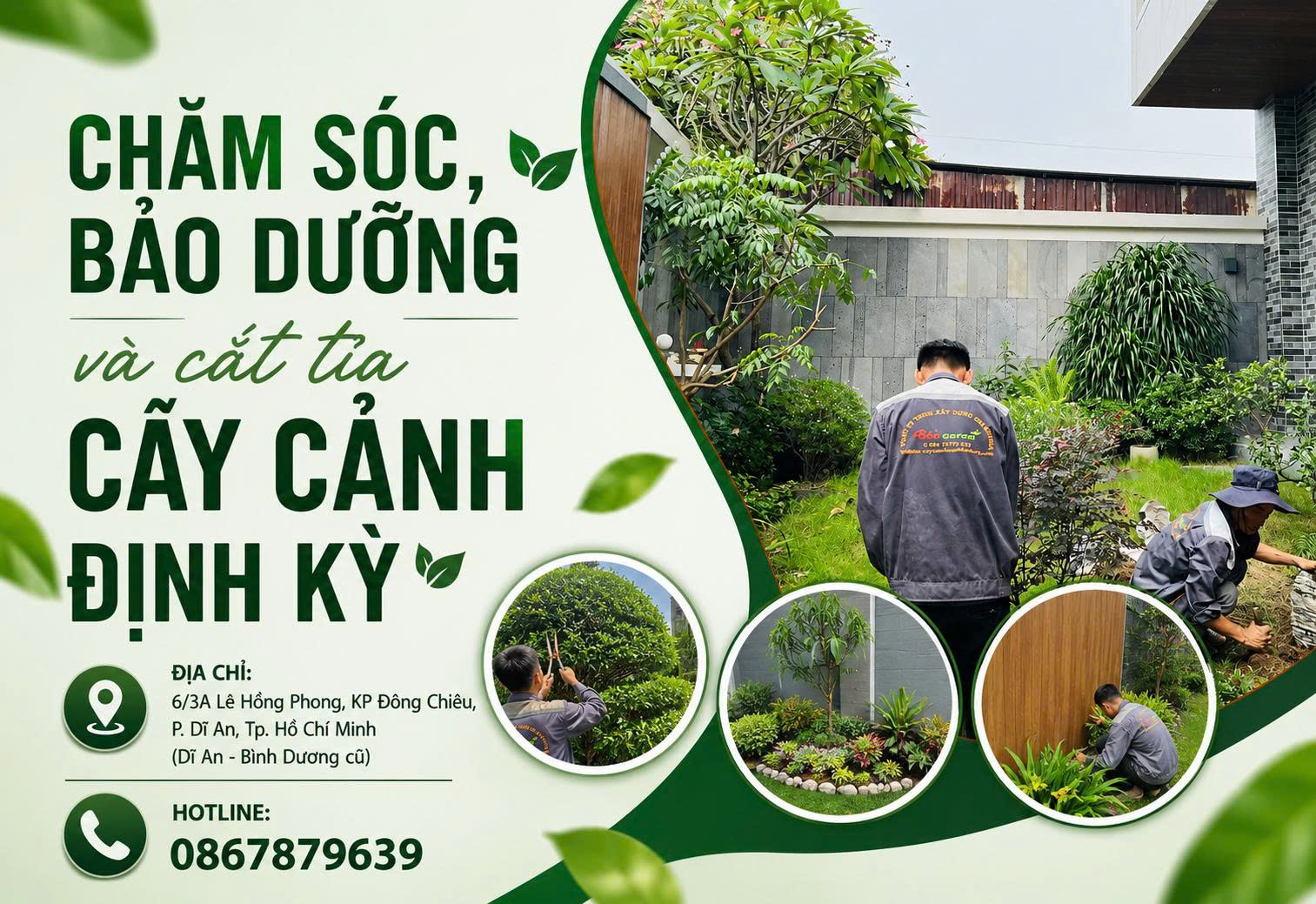 Dịch vụ chăm cây tận nơi định kỳ