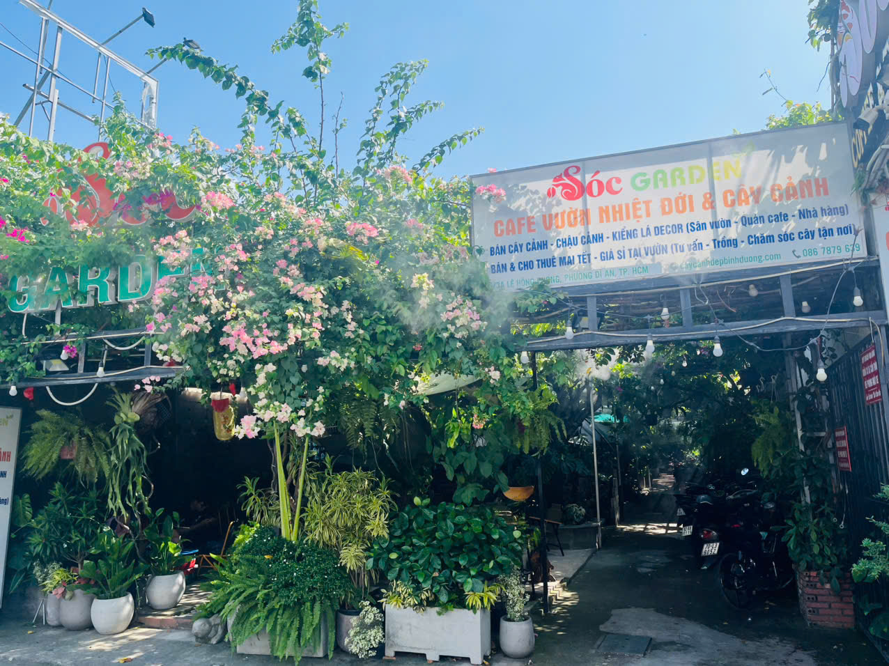 5 Shop Cây Cảnh Uy Tín tại Dĩ An