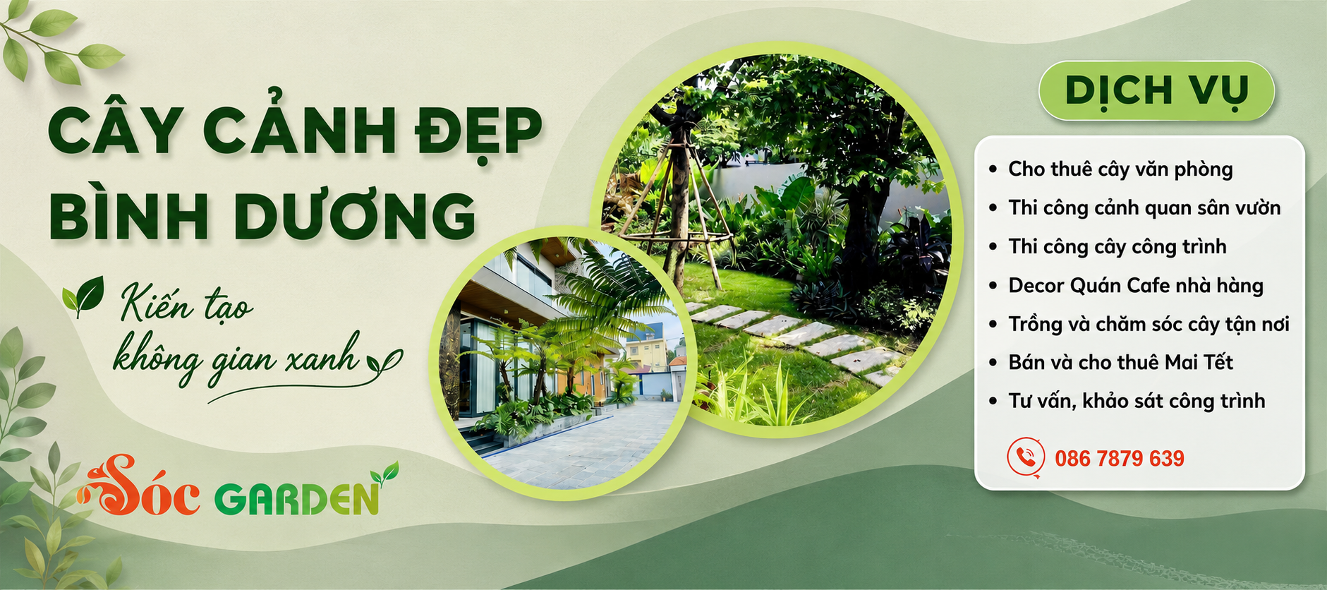 Tưới cây vào thời điểm nào là tốt nhất ?