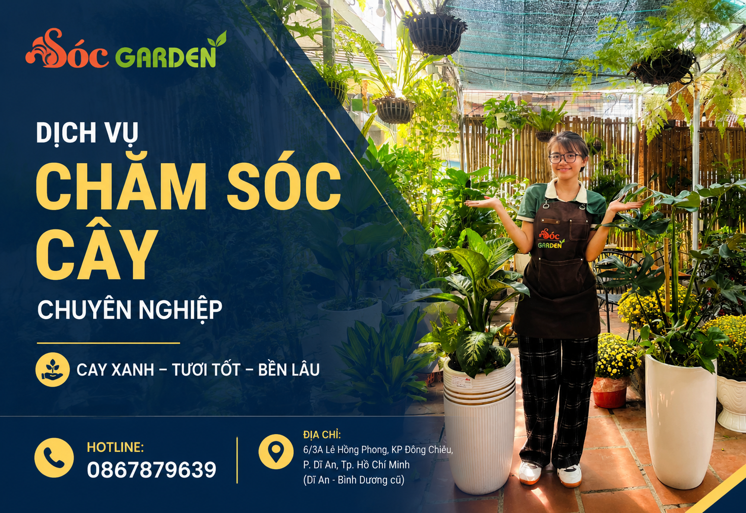 Dịch vụ chăm sóc cây chuyên nghiệp