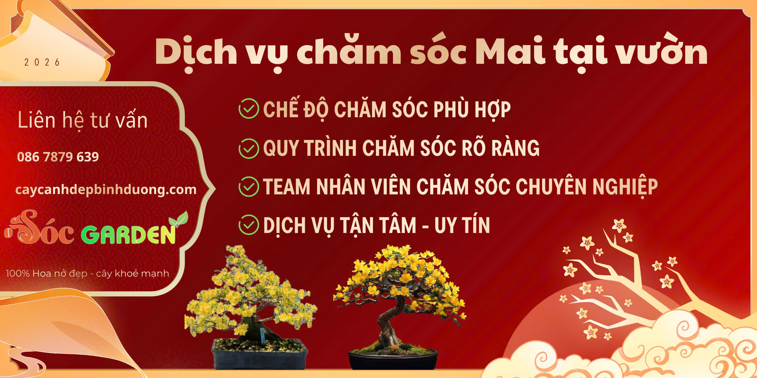 Bán & Thuê Mai Tết giá rẻ tại Bình Dương – TP.HCM