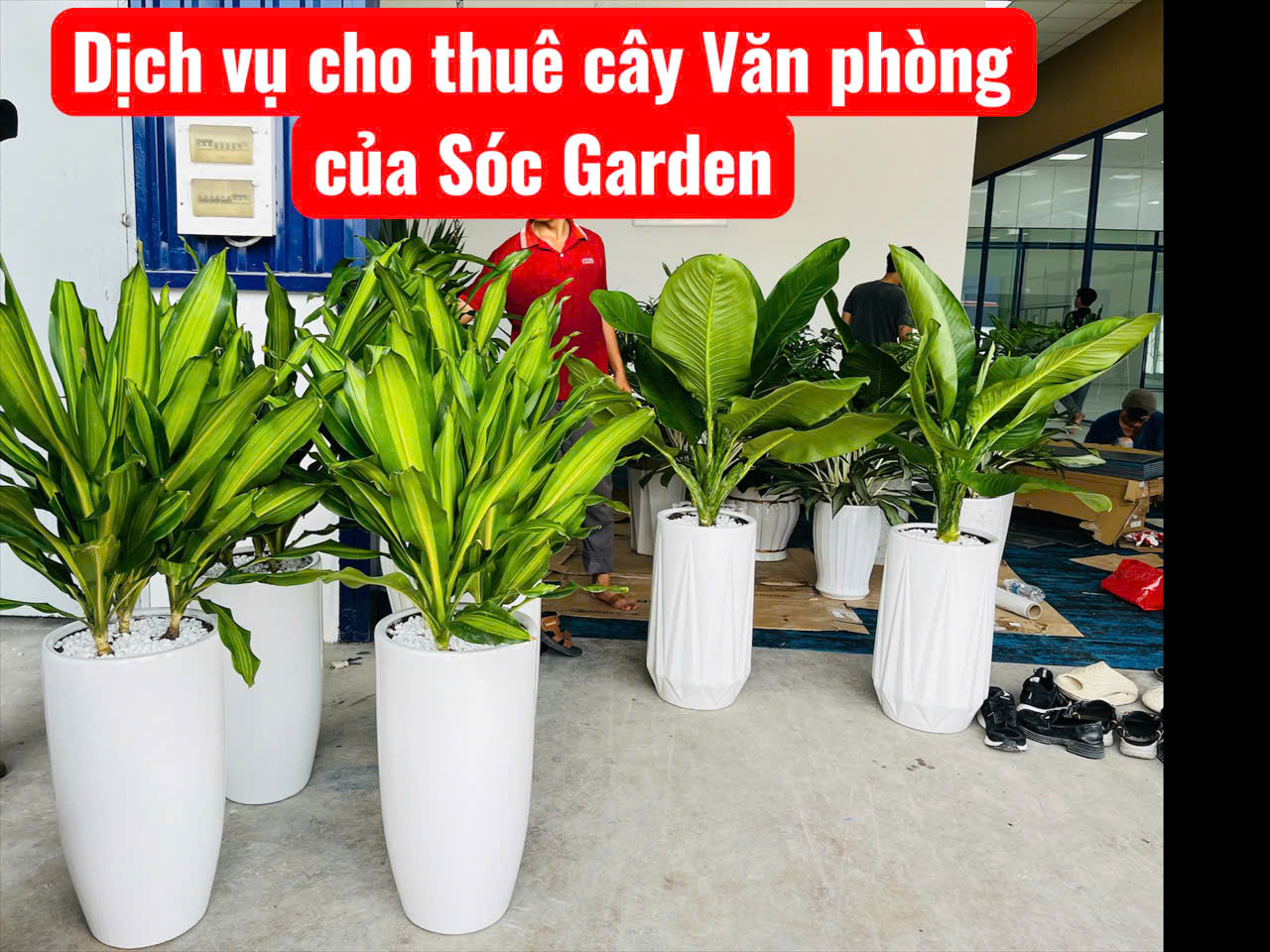 Dịch vụ Sóc Garden