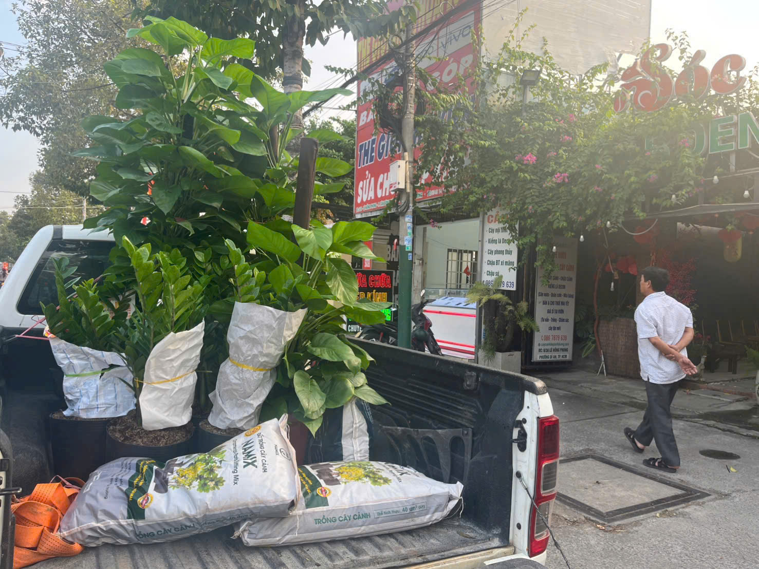 Cây quà tặng tân gia 