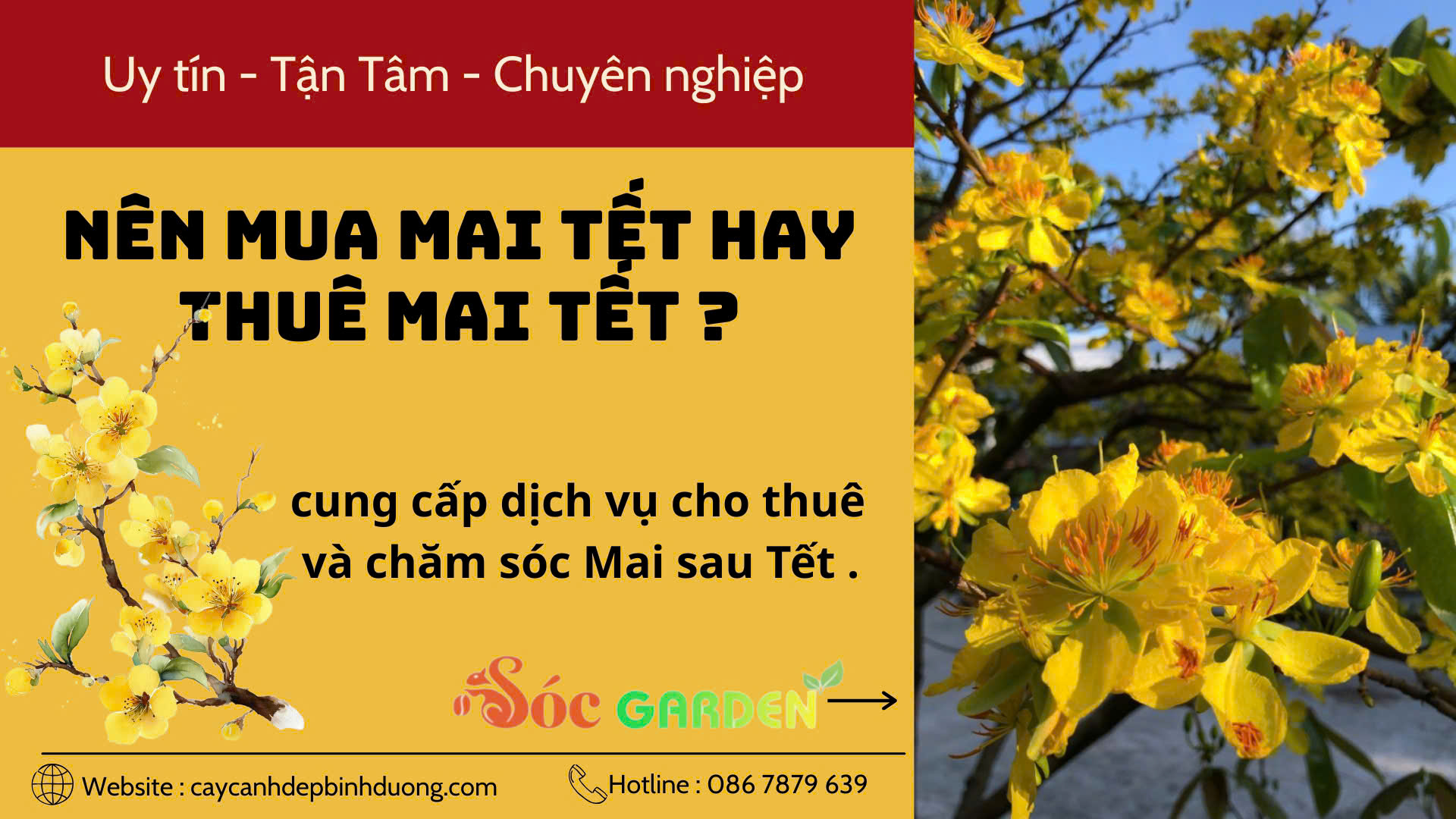 Dịch vụ cho thuê mai Tết