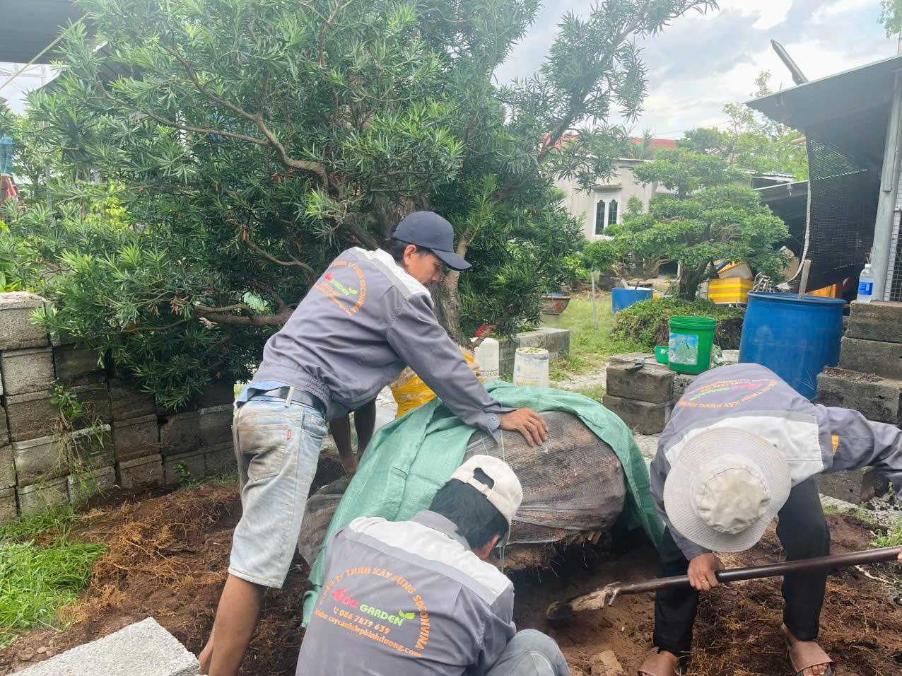 Đội ngũ kỹ thuật viên giàu kinh nghiệm Sóc Garden