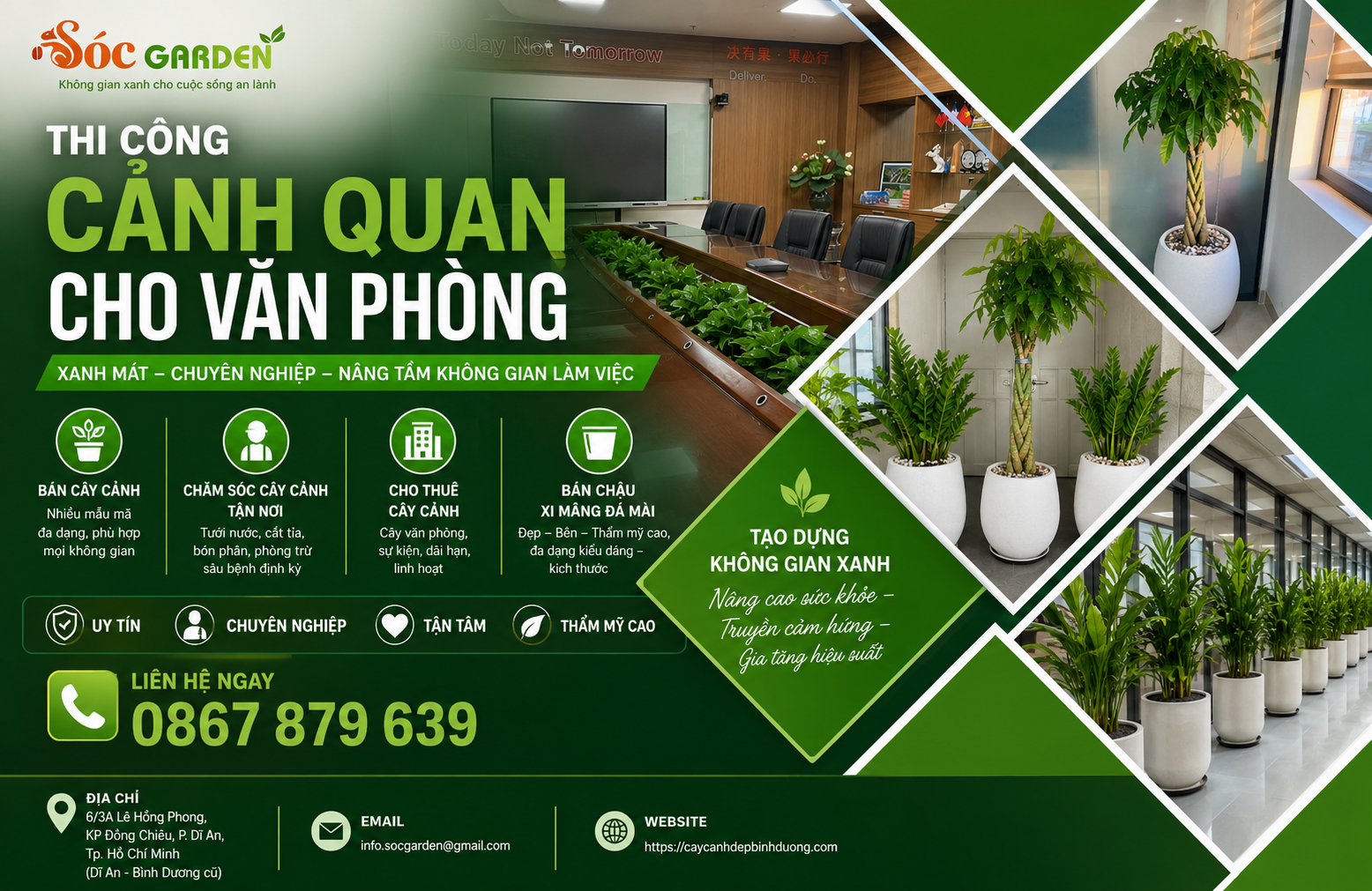 Cho thuê cây văn phòng xanh mát